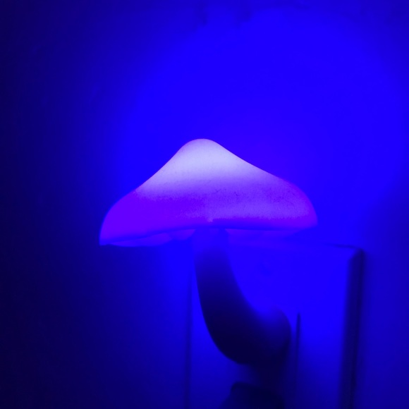 Rainbow mushroom night light plug in rave dance trippy psychedelic shroom party - Picture 2 of 11